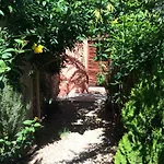 Chez Ali