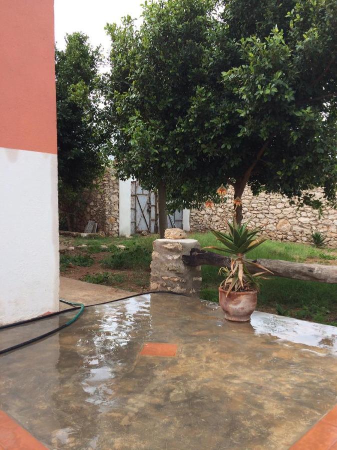 Chez Ali Villa Essaouira
